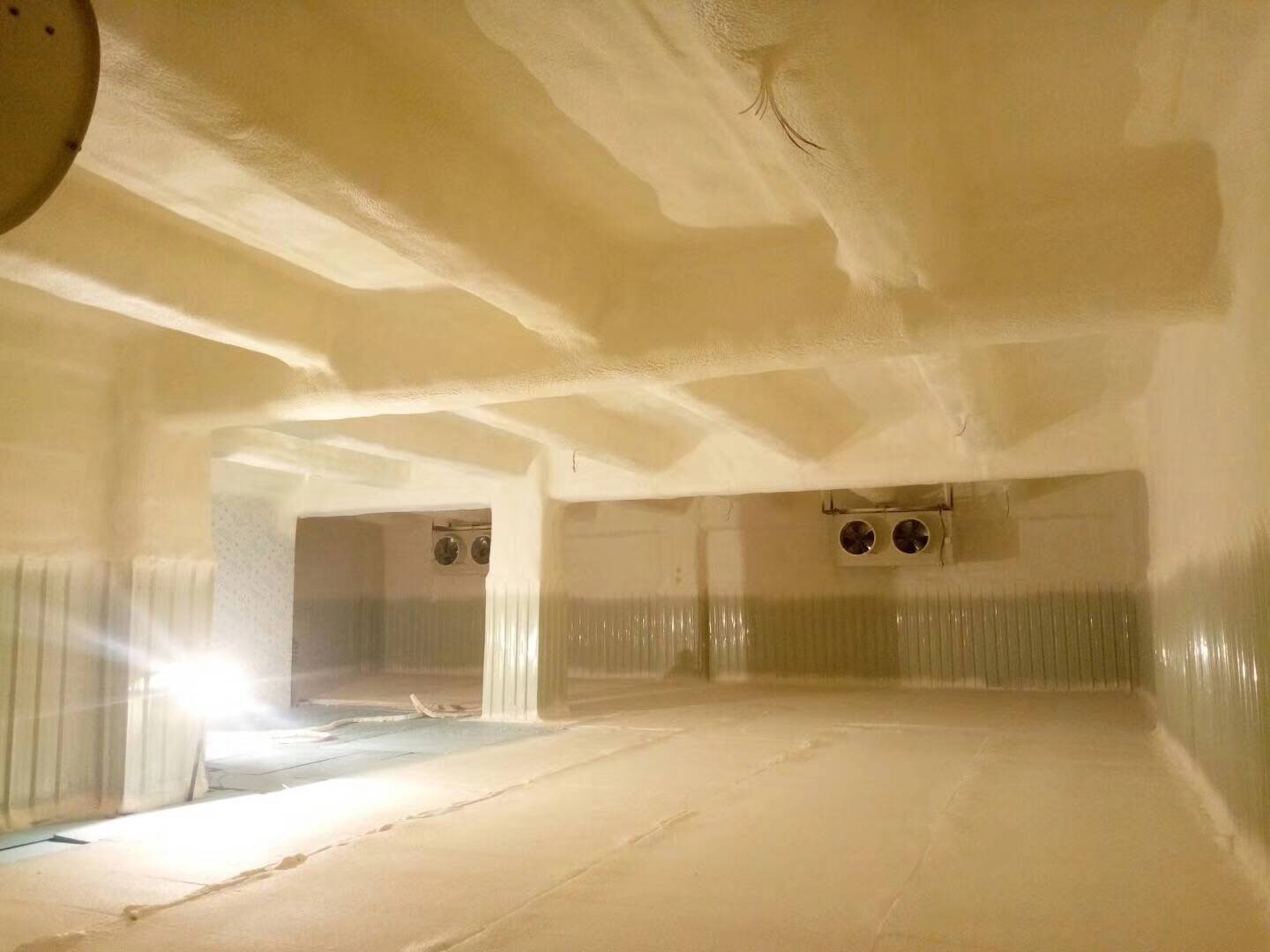 噴涂冷藏庫-25度